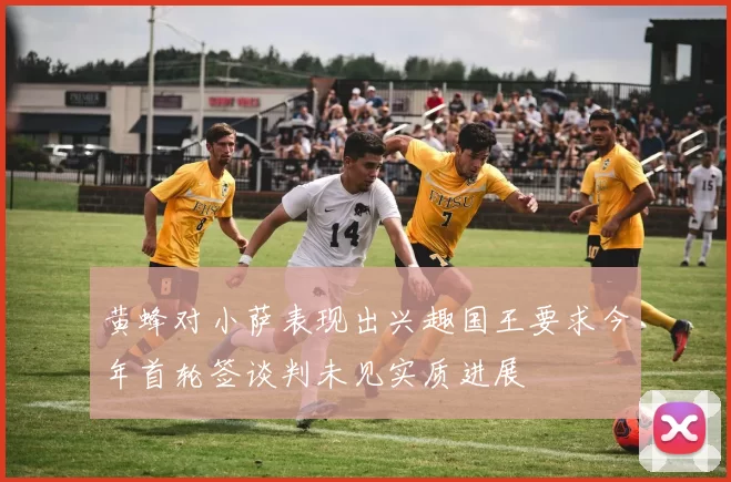 黄蜂对小萨表现出兴趣国王要求今年首轮签谈判未见实质进展